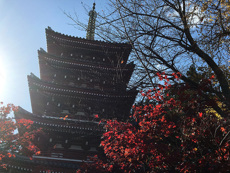 本土寺の紅葉＠北小金